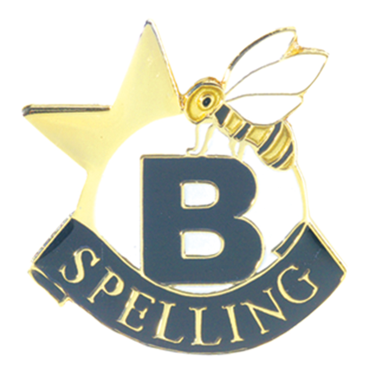 Spelling Bee Award Spelling Bee Pins Spelling Bee pin Terra