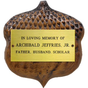 Large Acorn